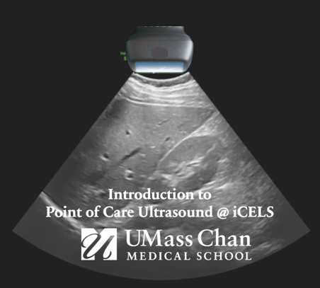 Introduction to Point of Care Ultrasound (POCUS) Banner
