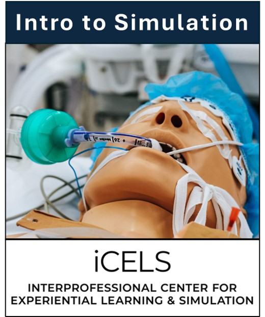 iCELS Simulation Facilitator Development: Foundations of Health Care Simulation Banner